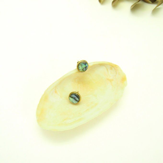 PUCES D'OREILLES ABALONE